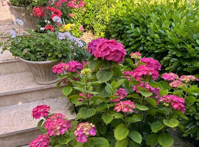 Vila Santine Avec Terrasses Et Vue Panoramique Meuble Tourisme 4 Etoiles