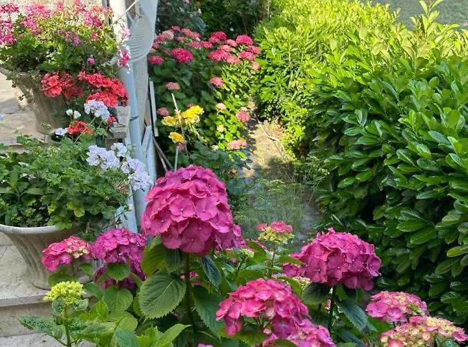 Santine Avec Terrasses Et Vue Panoramique Meuble Tourisme 4 Etoiles Vila *